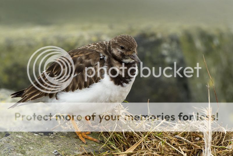 Fotografie