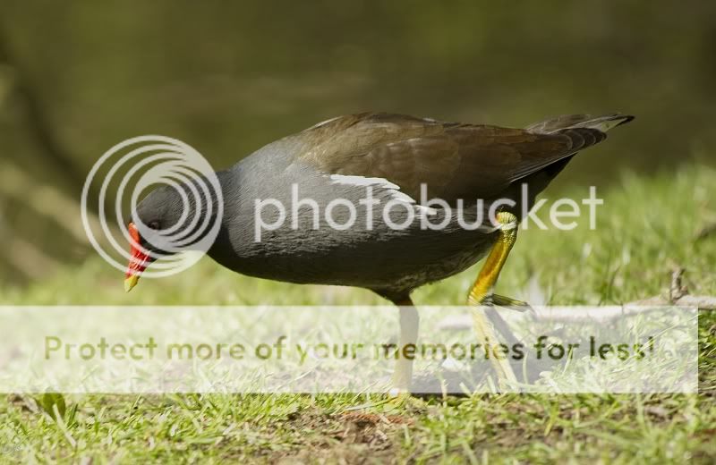 Fotografie