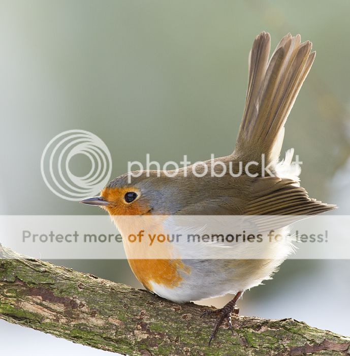Fotografie