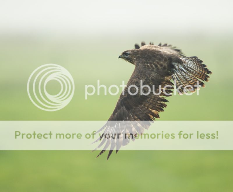 Fotografie