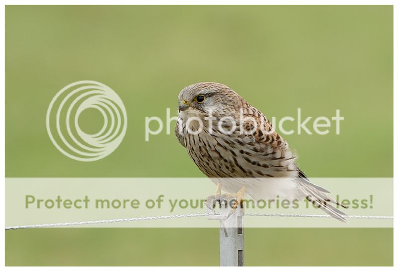 Fotografie