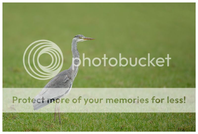Fotografie