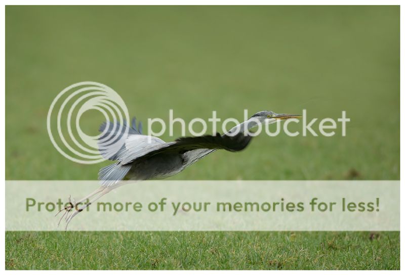 Fotografie