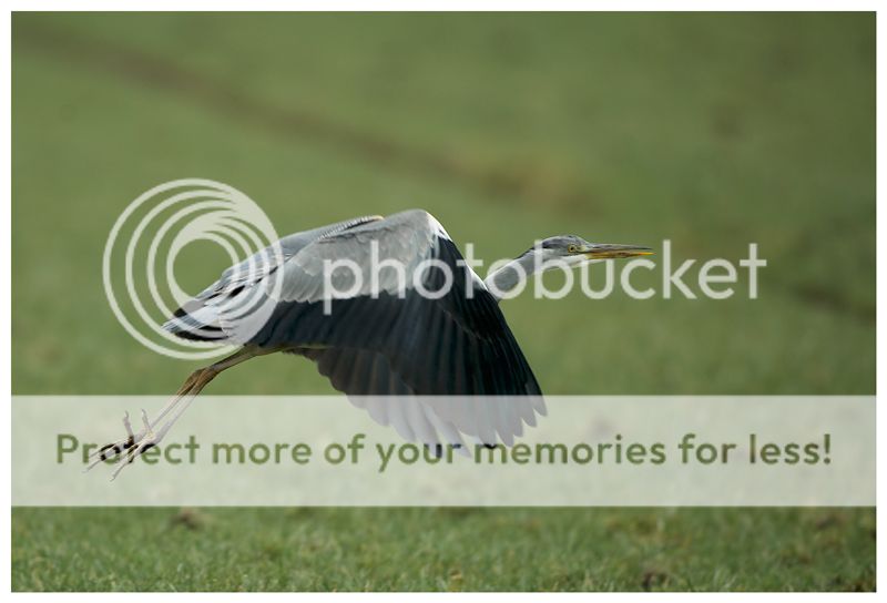 Fotografie