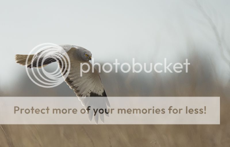 Fotografie
