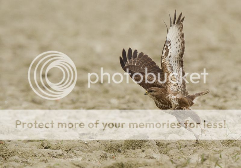 Fotografie