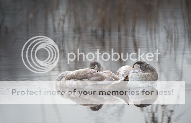Fotografie