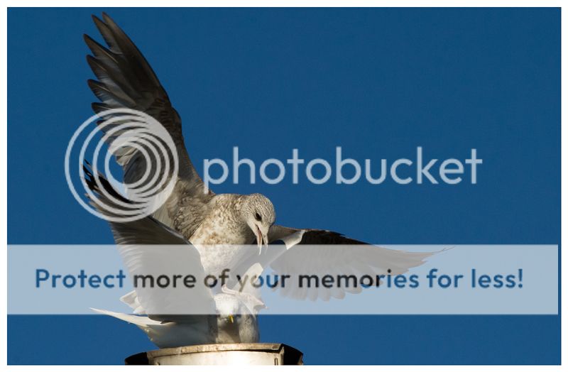 Fotografie