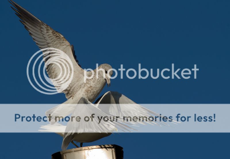 Fotografie