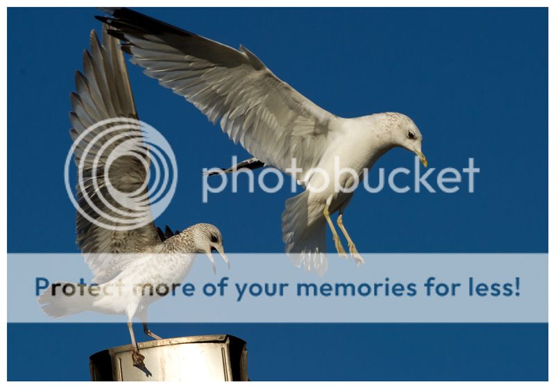 Fotografie