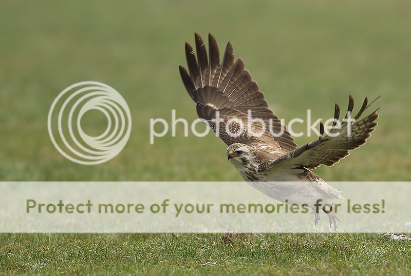 Fotografie