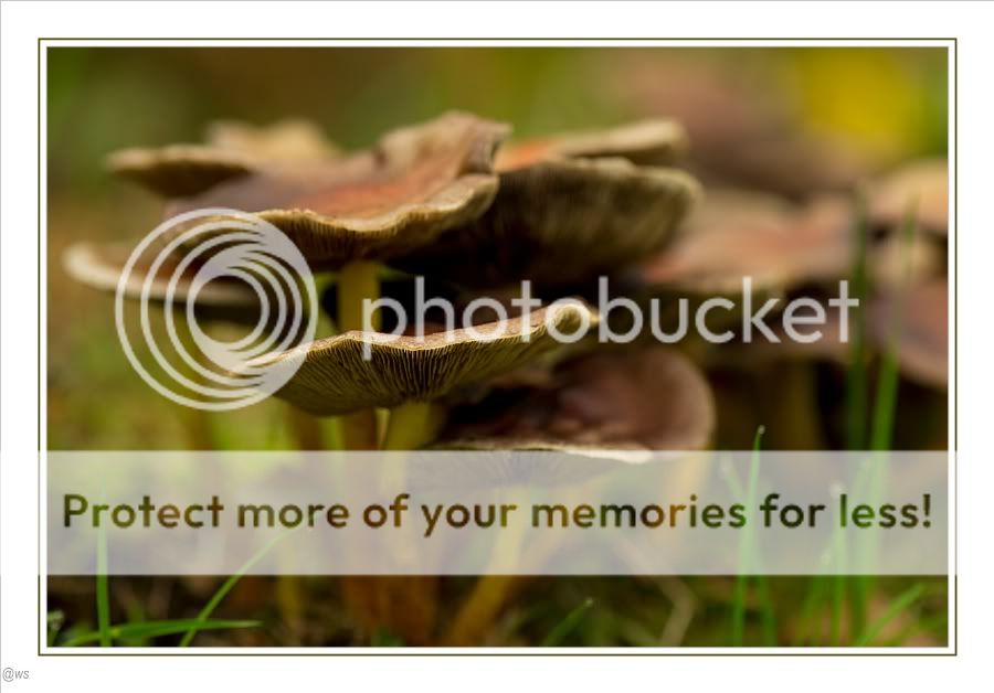 Fotografie