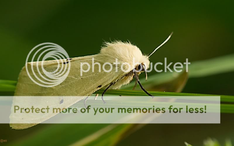 Fotografie
