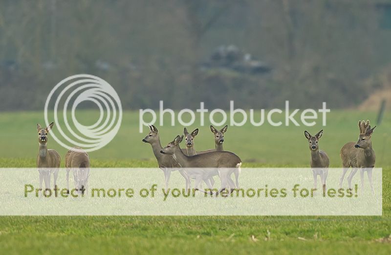 Fotografie
