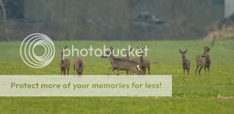 Fotografie