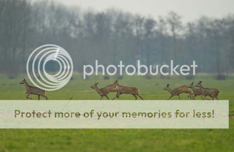 Fotografie
