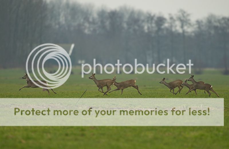 Fotografie