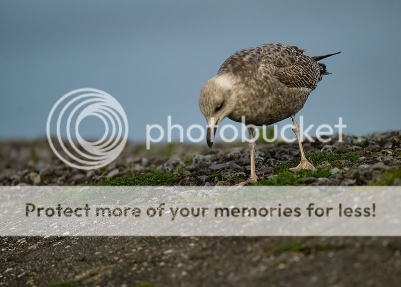 Fotografie