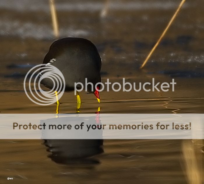 Fotografie
