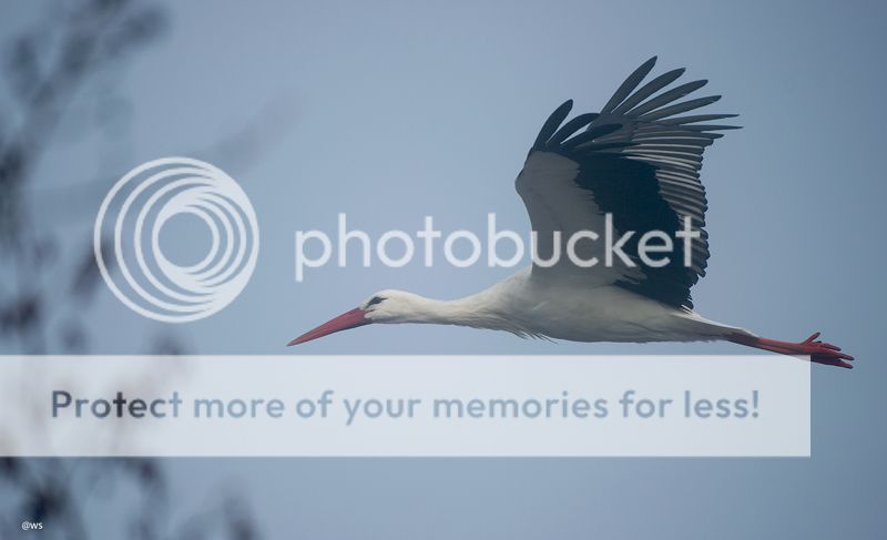 Fotografie
