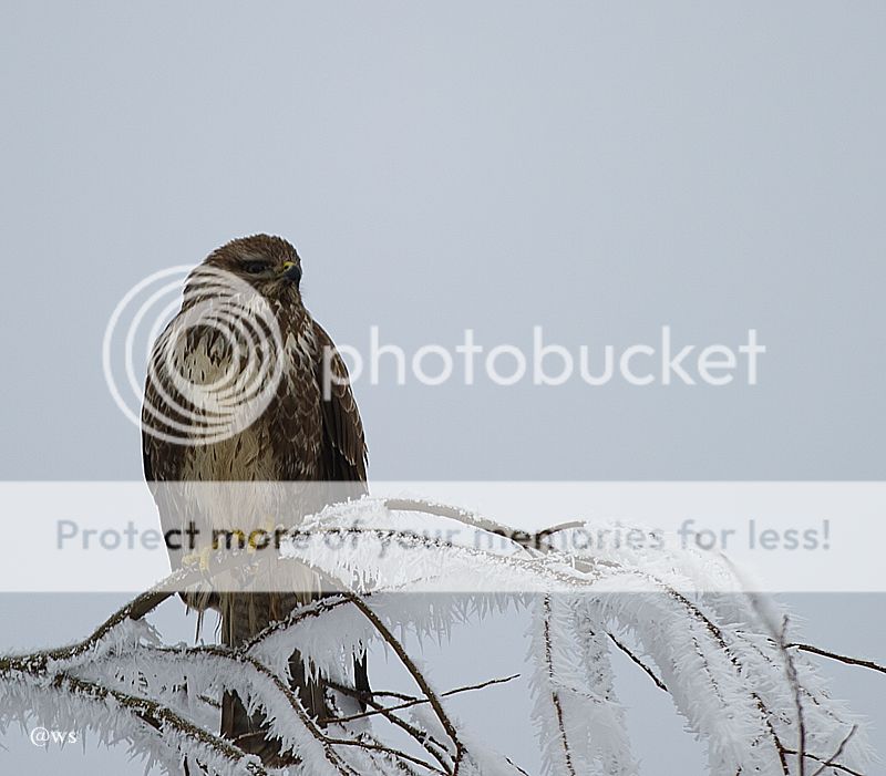 Fotografie