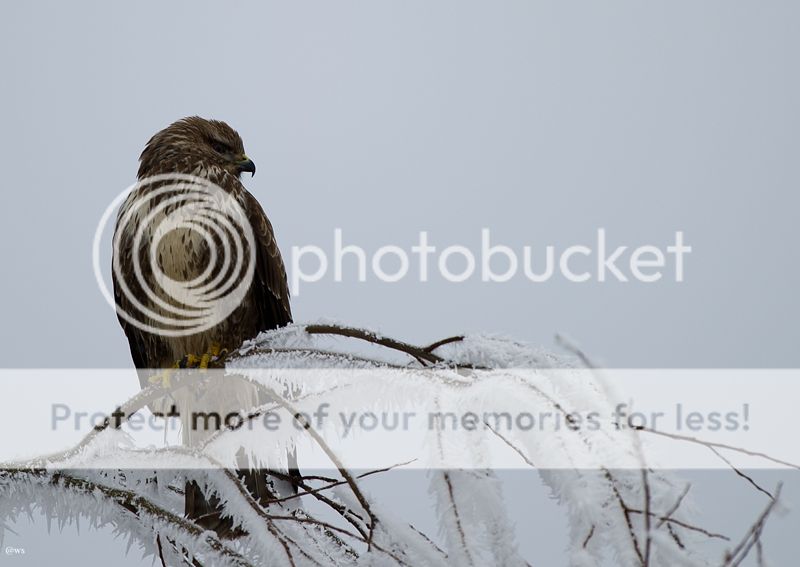 Fotografie