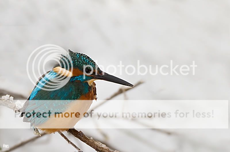 Fotografie