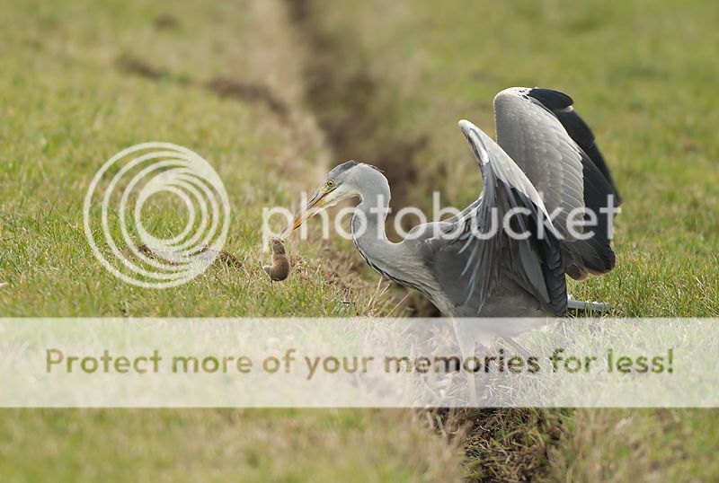 Fotografie