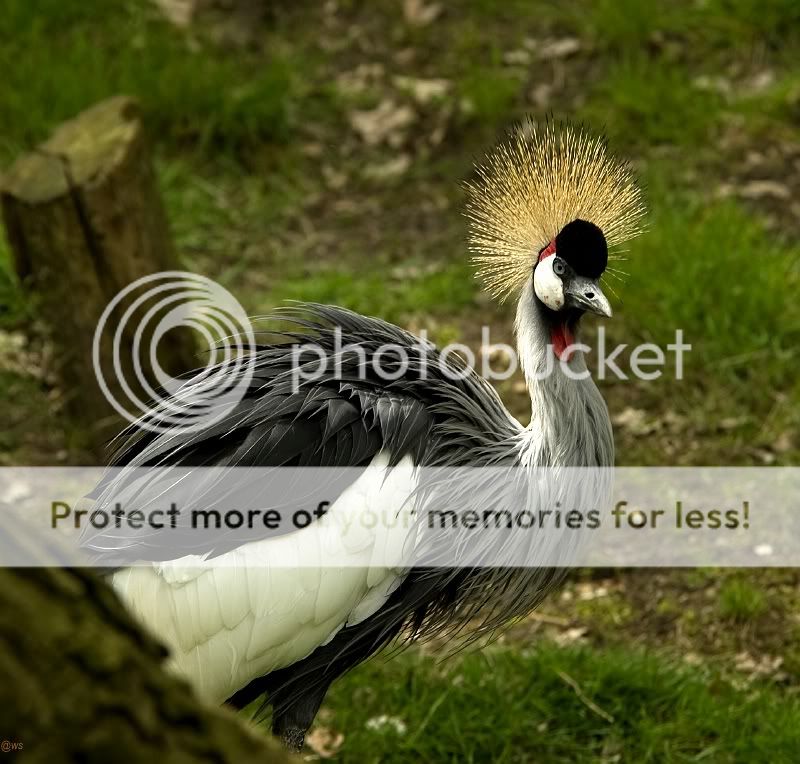 Fotografie