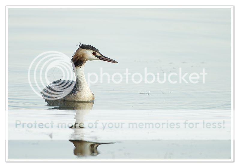 Fotografie