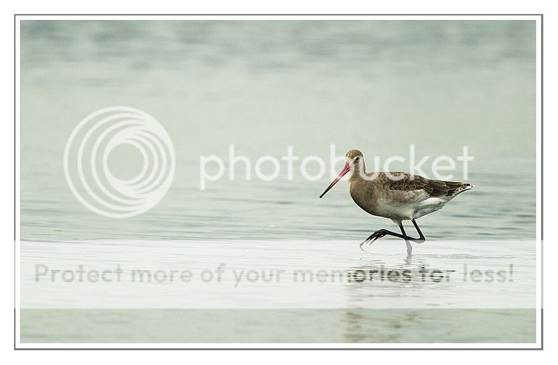 Fotografie