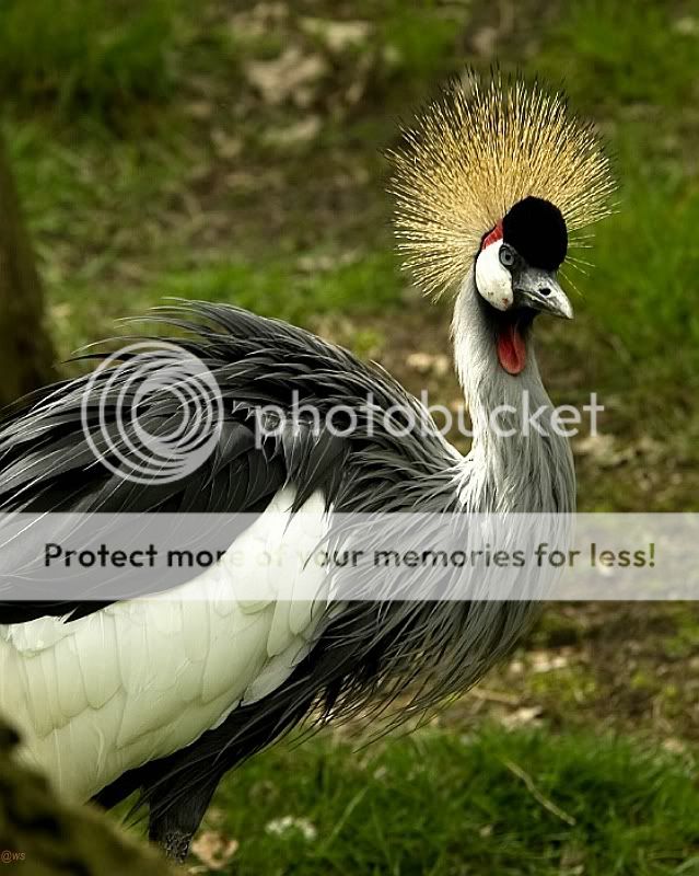 Fotografie