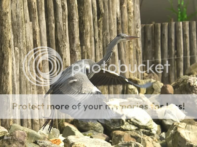 Fotografie