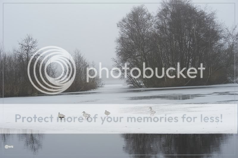 Fotografie