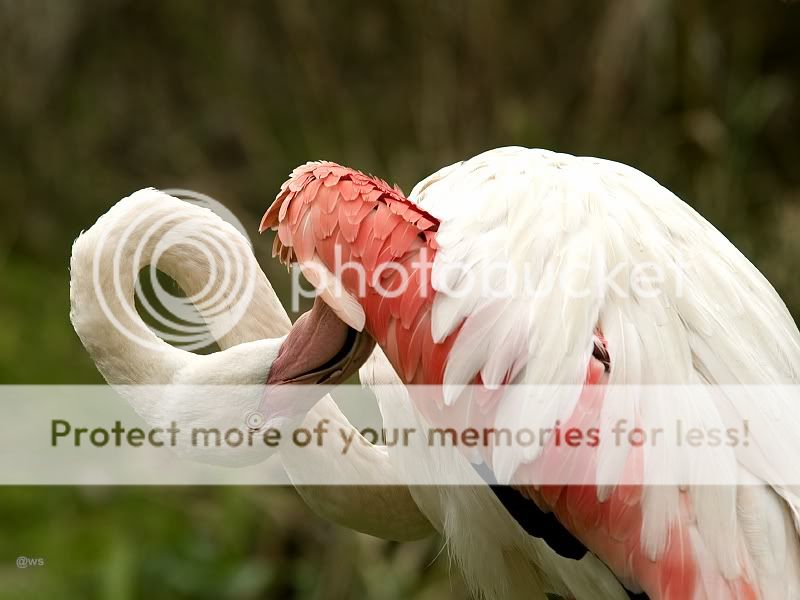 Fotografie