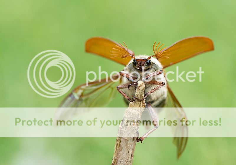 Fotografie