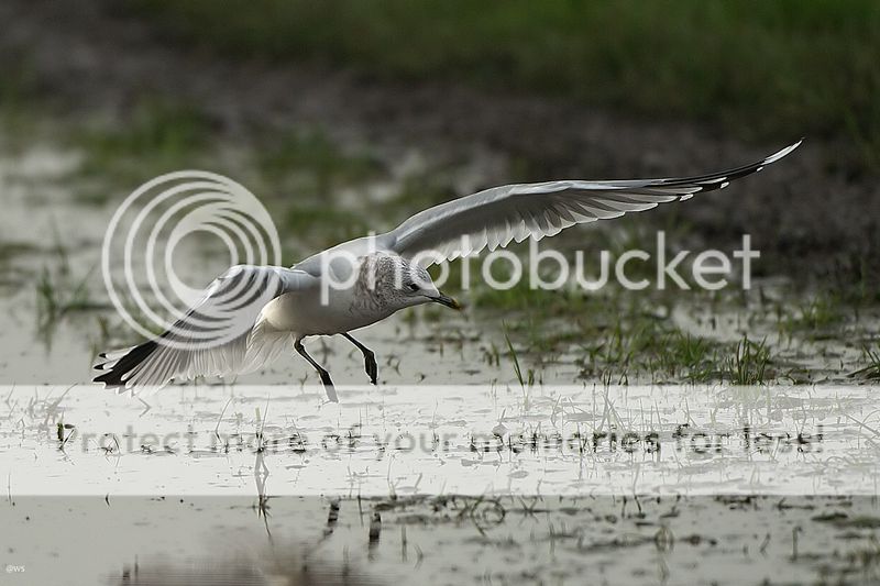 Fotografie