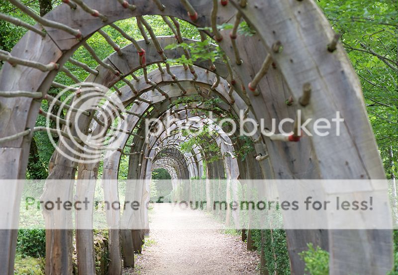 Fotografie