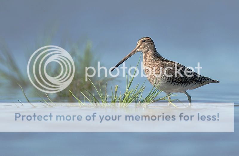 Fotografie